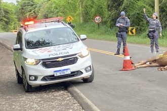 Mulher morre asfixiada por capacete após bater motocicleta contra cavalo em Piracicaba