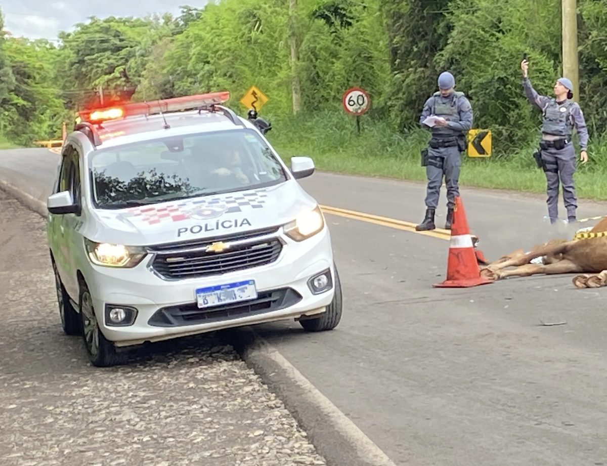 Mulher morre asfixiada por capacete após bater motocicleta contra cavalo em Piracicaba
