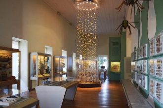 Museu da UFRJ irá receber mais R$ 10 milhões para restauração