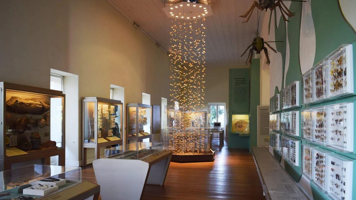 Museu da UFRJ irá receber mais R$ 10 milhões para restauração