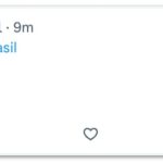 “Não é fuga, mas exílio”, dizem bolsonaristas sobre Flávio sair do país