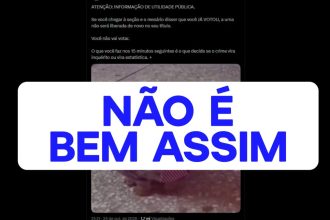 #NÃOÉBEMASSIM: Eleitor deve avisar mesário se alguém votar em seu lugar, mas investigação do caso cabe à própria Justiça Eleitoral