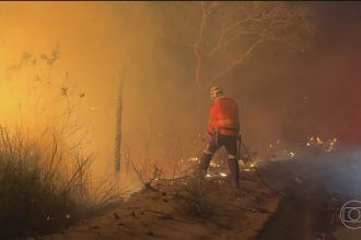 No Pará, outubro registra recorde de focos de incêndios em 29 anos de medições do Inpe
