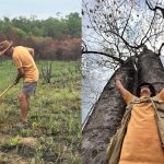 O berço das águas: restauração no Cerrado aumenta em 79% retenção do solo e alimenta o Pantanal