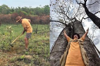 O berço das águas: restauração no Cerrado aumenta em 79% retenção do solo e alimenta o Pantanal