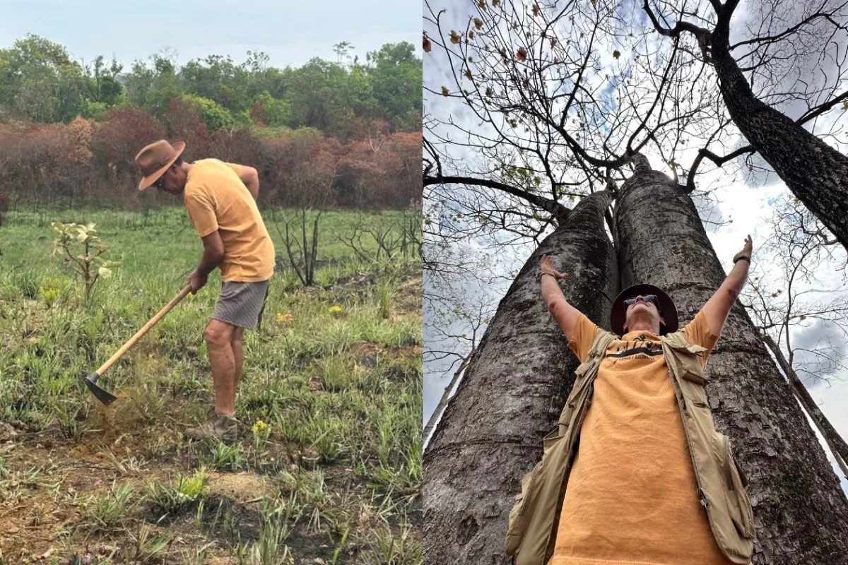 O berço das águas: restauração no Cerrado aumenta em 79% retenção do solo e alimenta o Pantanal