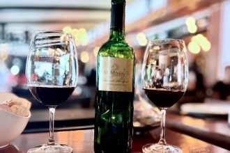 O Chile e seus vinhos de boutique – surpreenda-se