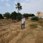 Oliveiras destruídas e lavouras bloqueadas por tropas israelenses: a luta para produzir azeite em Gaza