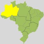 Omar Aziz x Professora Maria do Carmo: acompanhe o 2º turno para governador no Amazonas