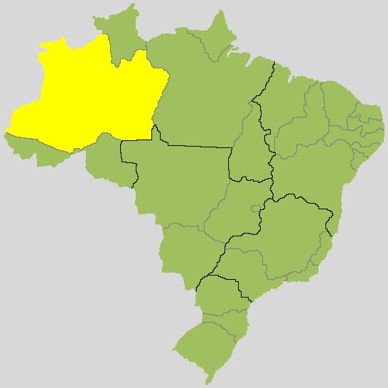 Omar Aziz x Professora Maria do Carmo: acompanhe o 2º turno para governador no Amazonas