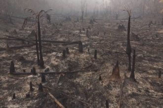 Onda de queimadas no Amazonas sufoca cidades, mobiliza força-tarefa e gera suspeita de ação criminosa