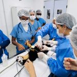 Outubro Rosa Pet: Universidade faz atendimentos gratuitos em cadelas e gatas em Salvador