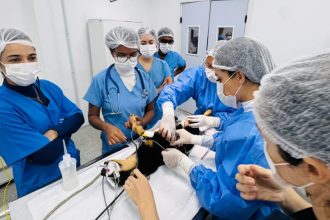 Outubro Rosa Pet: Universidade faz atendimentos gratuitos em cadelas e gatas em Salvador