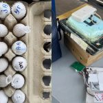 Ovos de aves nativas escondidos em jaqueta e incubadoras são apreendidos com casal em ônibus no Paraná; carga é avaliada em R$ 9 milhões