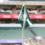 Palmeiras suspende conselheiro por 9 meses