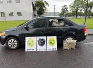 Paraná: apreensões de maconha crescem 228% em dez anos na região de fronteira