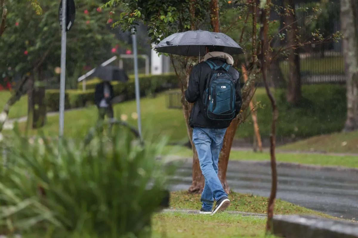 Paraná recebe alertas de tempestade com ventos que podem chegar a 60 km/h; veja cidades afetadas