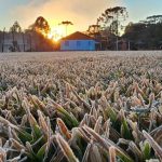 Paraná registra frio de 2,3ºC em pleno outubro, e pode repetir baixas temperaturas; veja a previsão do tempo