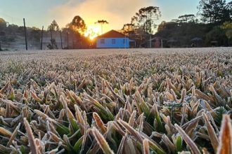 Paraná registra frio de 2,3ºC em pleno outubro, e pode repetir baixas temperaturas; veja a previsão do tempo