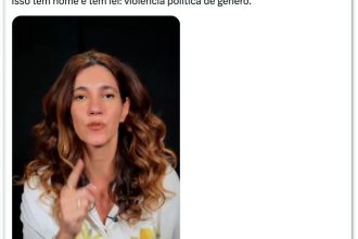 Pellegrino critica forma como PL a citou em ação: “É violência de gênero”