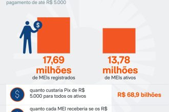 Pix para MEIs daria só R$ 363 com distribuição igualitária