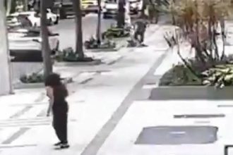 Professora aposentada da UFRJ é baleada em assalto na zona sul do Rio