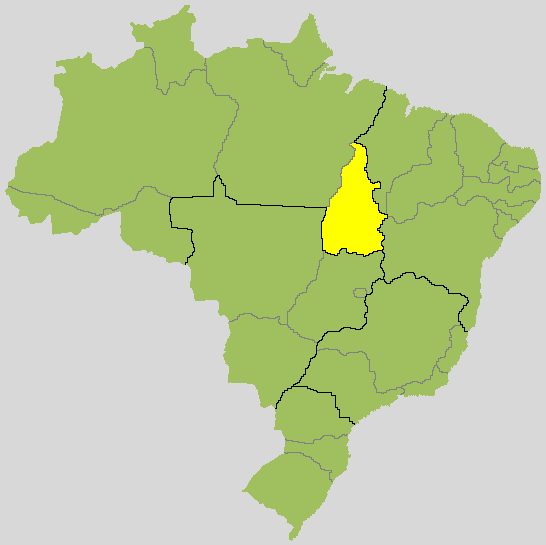 Professora Dorinha x Vicentinho Júnior: acompanhe o 2º turno para governador no Tocantins