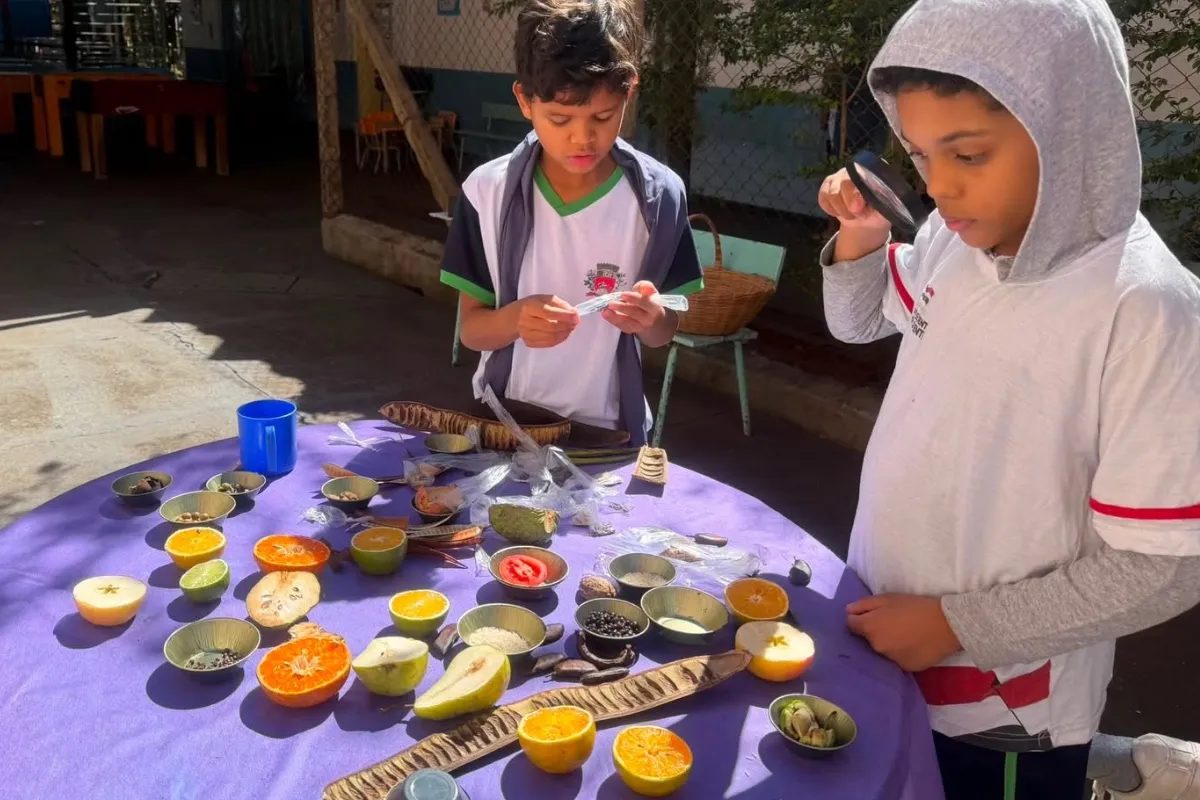 Programa de educação integral do interior de SP conquista 2º lugar em prêmio nacional; conheça