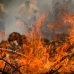 Quatro cidades do Amazonas estão entre as 20 com mais queimadas do país em outubro