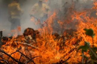 Quatro cidades do Amazonas estão entre as 20 com mais queimadas do país em outubro