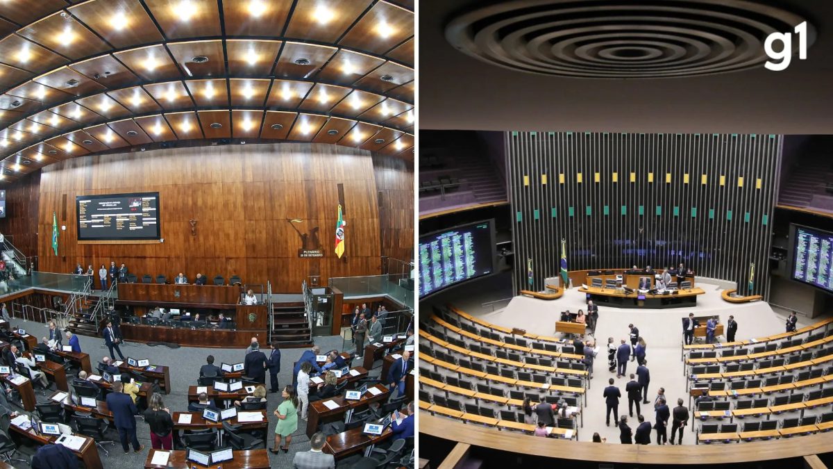 Quem é o primeiro suplente de cada partido no RS? Saiba como e quando pode assumir cadeira