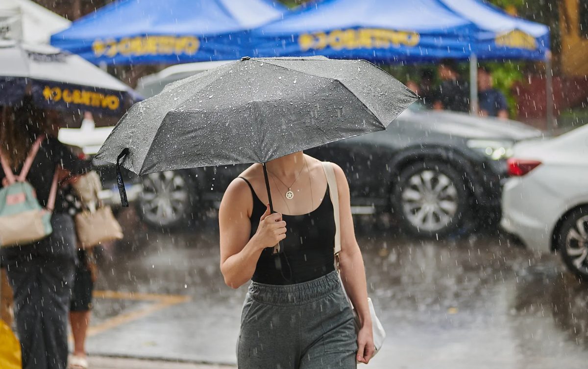 Região de Ribeirão e Franca tem alerta para temporal e ventos de até 85 km/h