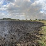 Roraima registra mais de 2 mil focos de calor até outubro de 2026 e supera total de 2025