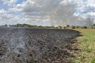 Roraima registra mais de 2 mil focos de calor até outubro de 2026 e supera total de 2025