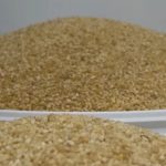 Seca compromete safra de macaxeira e afeta produção de farinha em Roraima