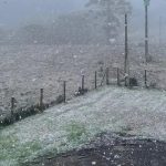 Semana começa com frio próximo de 0°C e chance de geadas no Sul
