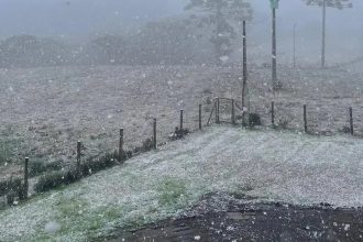 Semana começa com frio próximo de 0°C e chance de geadas no Sul