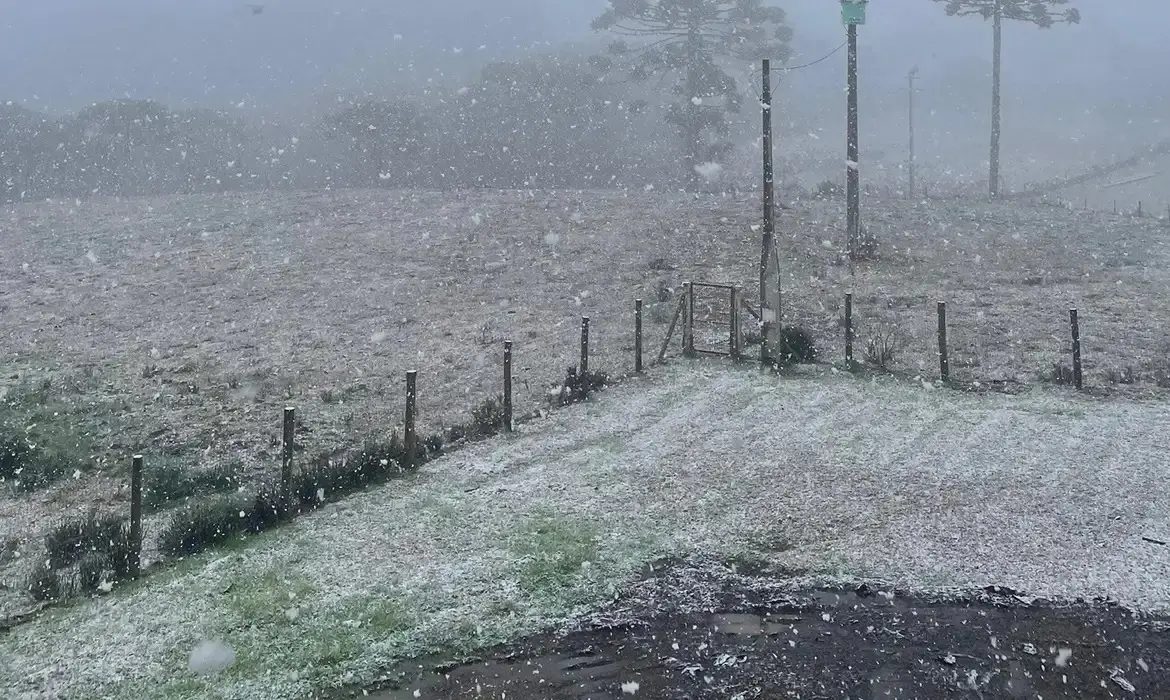 Semana começa com frio próximo de 0°C e chance de geadas no Sul