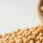 Soja e menopausa: o que a ciência já descobriu