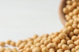 Soja e menopausa: o que a ciência já descobriu