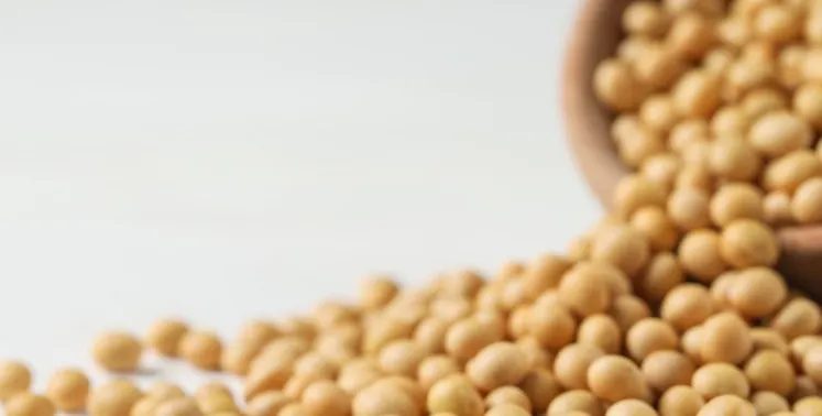 Soja e menopausa: o que a ciência já descobriu