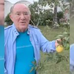 TJ-RJ determina penhora de mansão do humorista Renato Aragão