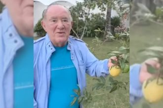 TJ-RJ determina penhora de mansão do humorista Renato Aragão