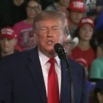 Trump volta a falar sobre fraude na eleição brasileira: ‘Não pareceu nada bom’