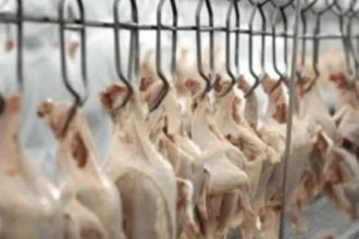 UE deve liberar frango e mel do Brasil em dezembro, diz delegação