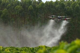União Europeia quer flexibilizar regras para agrotóxicos; especialistas alertam para riscos