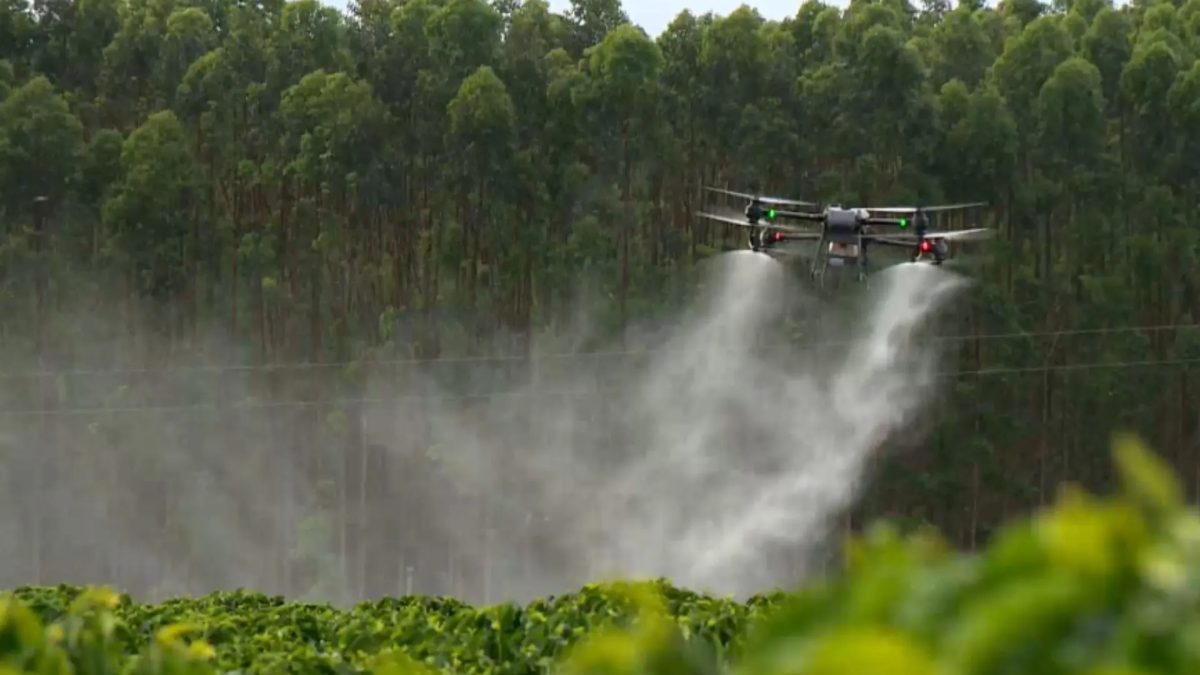 União Europeia quer flexibilizar regras para agrotóxicos; especialistas alertam para riscos