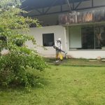 Universidade Federal do Sul da Bahia suspende aulas após incidência de pulgas