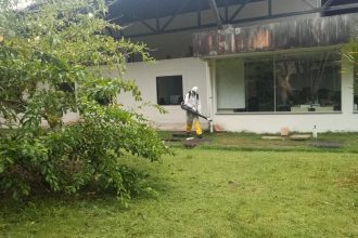 Universidade Federal do Sul da Bahia suspende aulas após incidência de pulgas