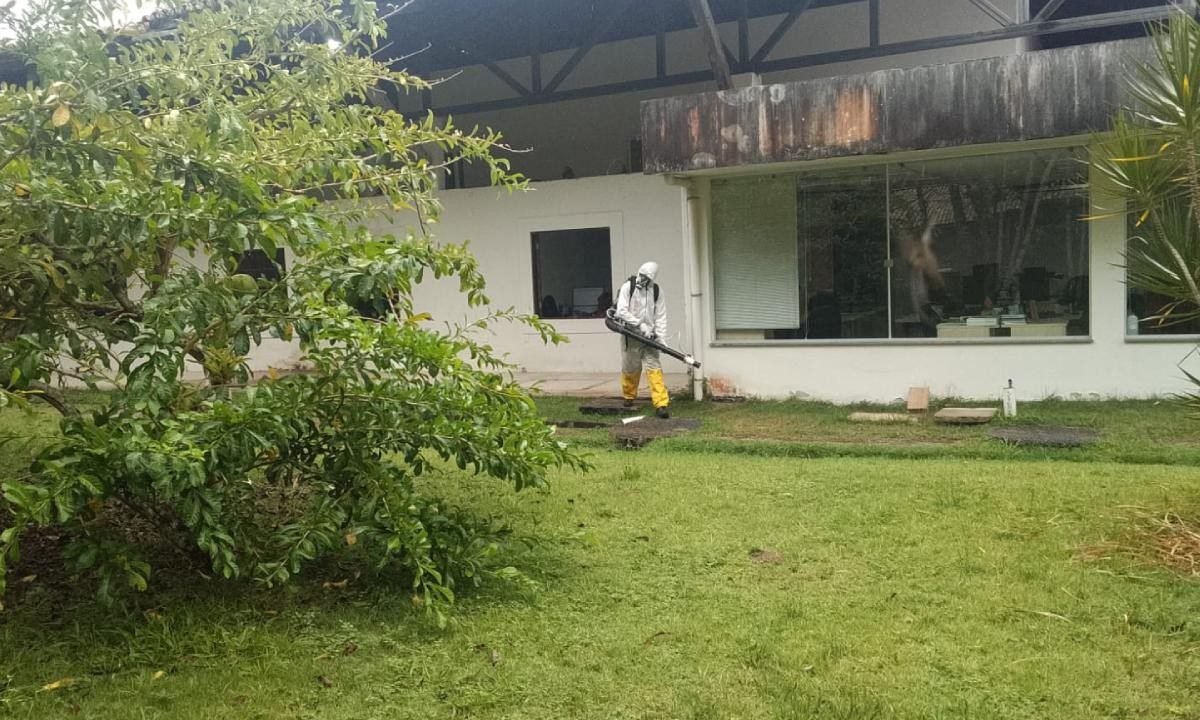 Universidade Federal do Sul da Bahia suspende aulas após incidência de pulgas
